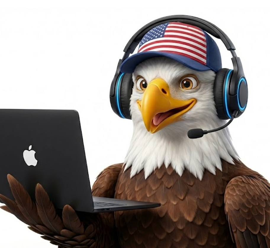 Eagle working from home office